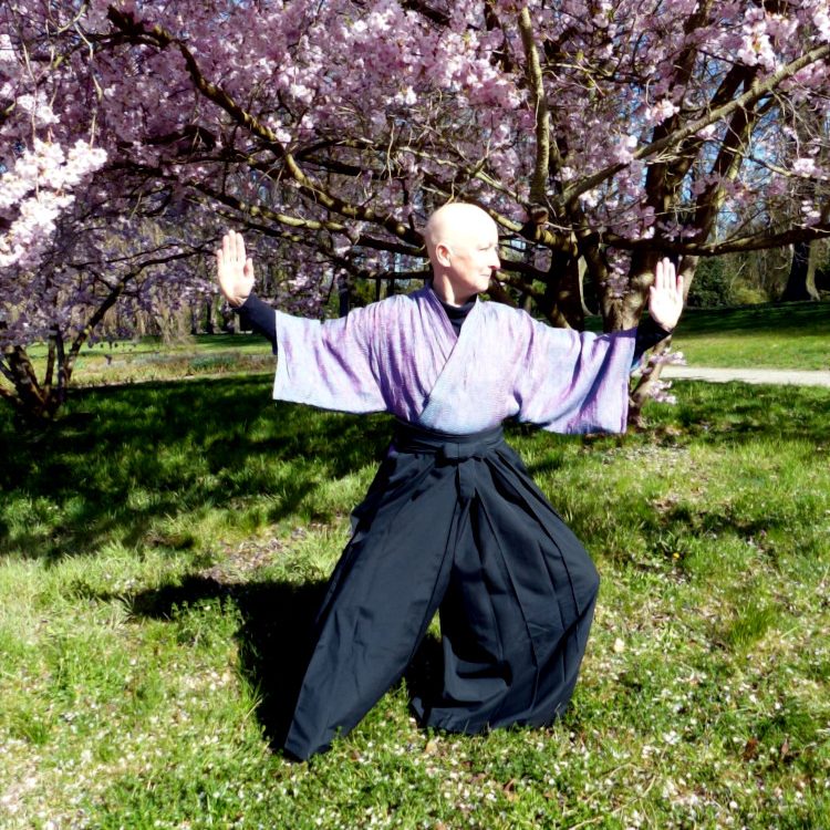 Tai Chi und Meditation Die Heilpraktikerin übt Tai Chi im Park.